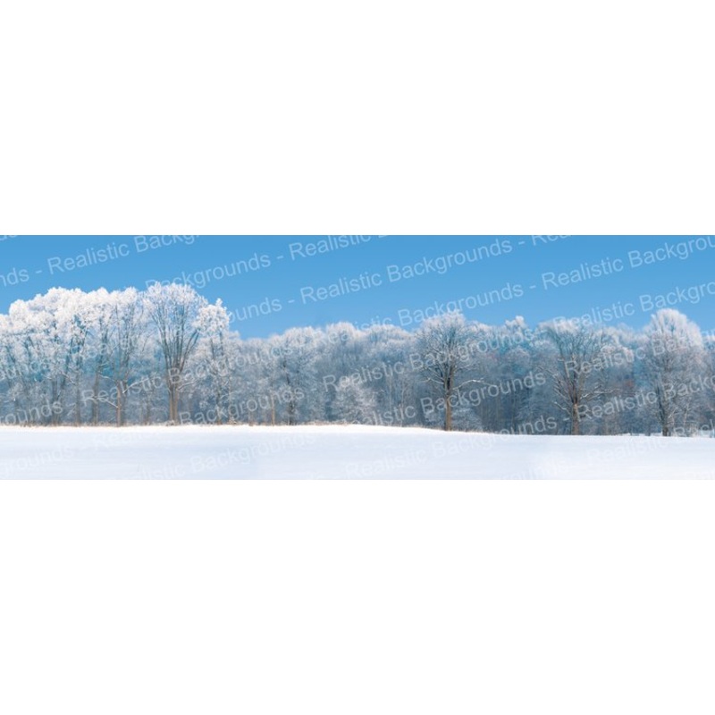 **NEWLY ADDED SCENE** Realistic Backgrounds Snow Scene