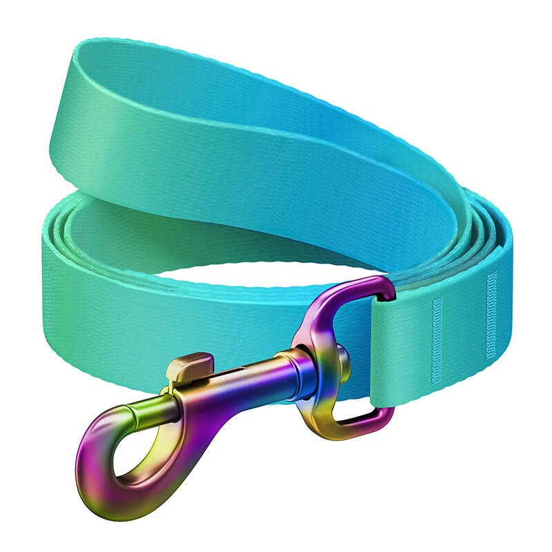WAUDOG Nylon Recycled Dog Leash – Size Large