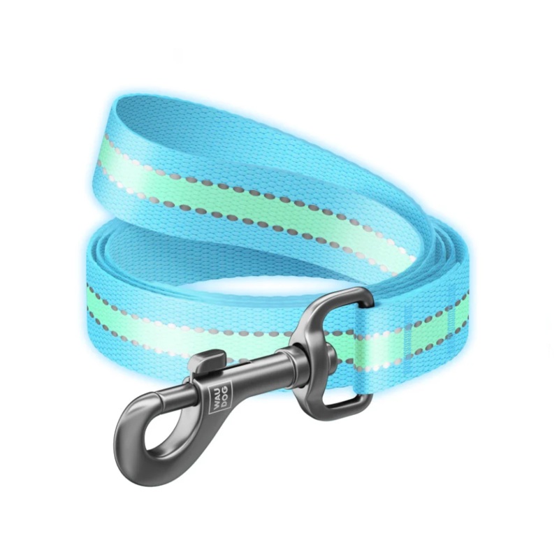 WAUDOG Nylon Reflective Dog Leash – Size Large